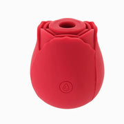 ROSE TO LOVE - RED